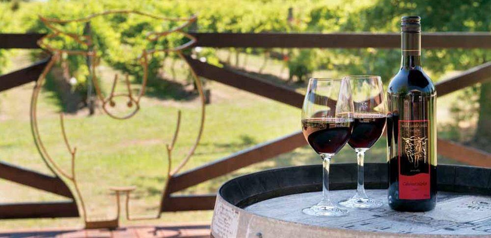 Wild Cattle Creek Estate Bed and Breakfast Wandin Yallock Εξωτερικό φωτογραφία